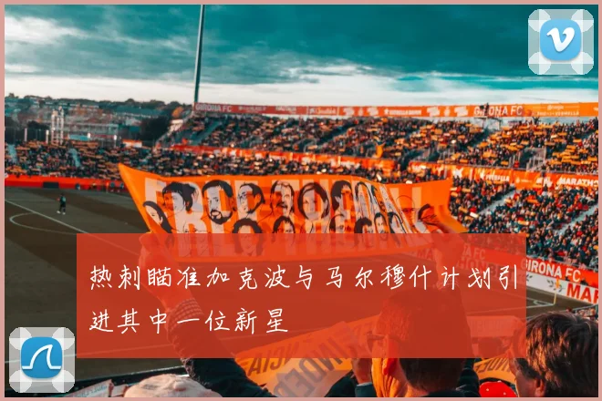 热刺瞄准加克波与马尔穆什计划引进其中一位新星