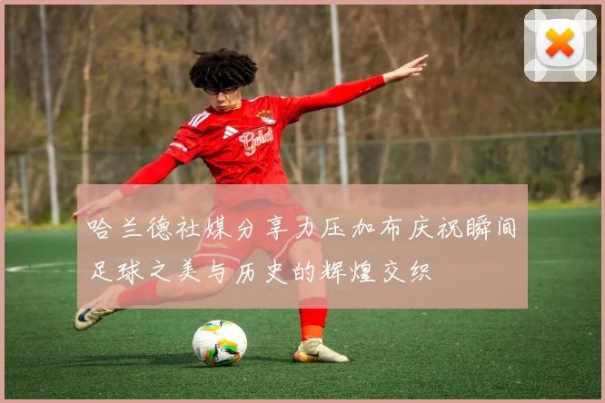 哈兰德社媒分享力压加布庆祝瞬间足球之美与历史的辉煌交织